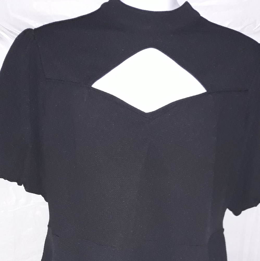 Ashley Stewart blouse NWT